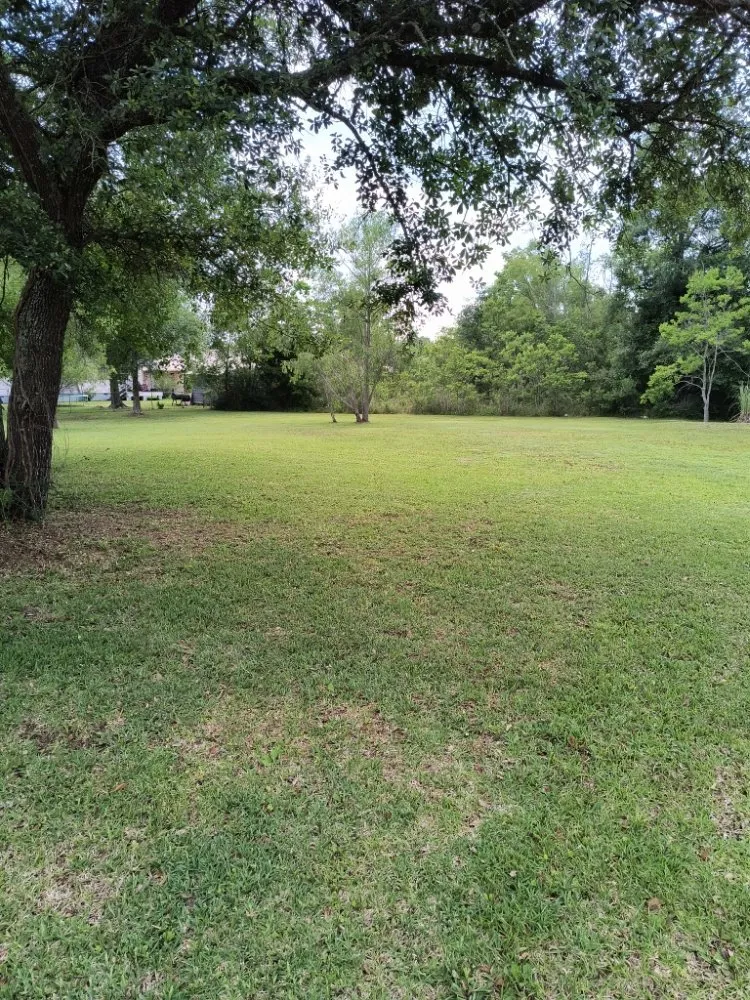 Trusted yard cleanup service experts serving Gulfport, MS - Lawns by Terence