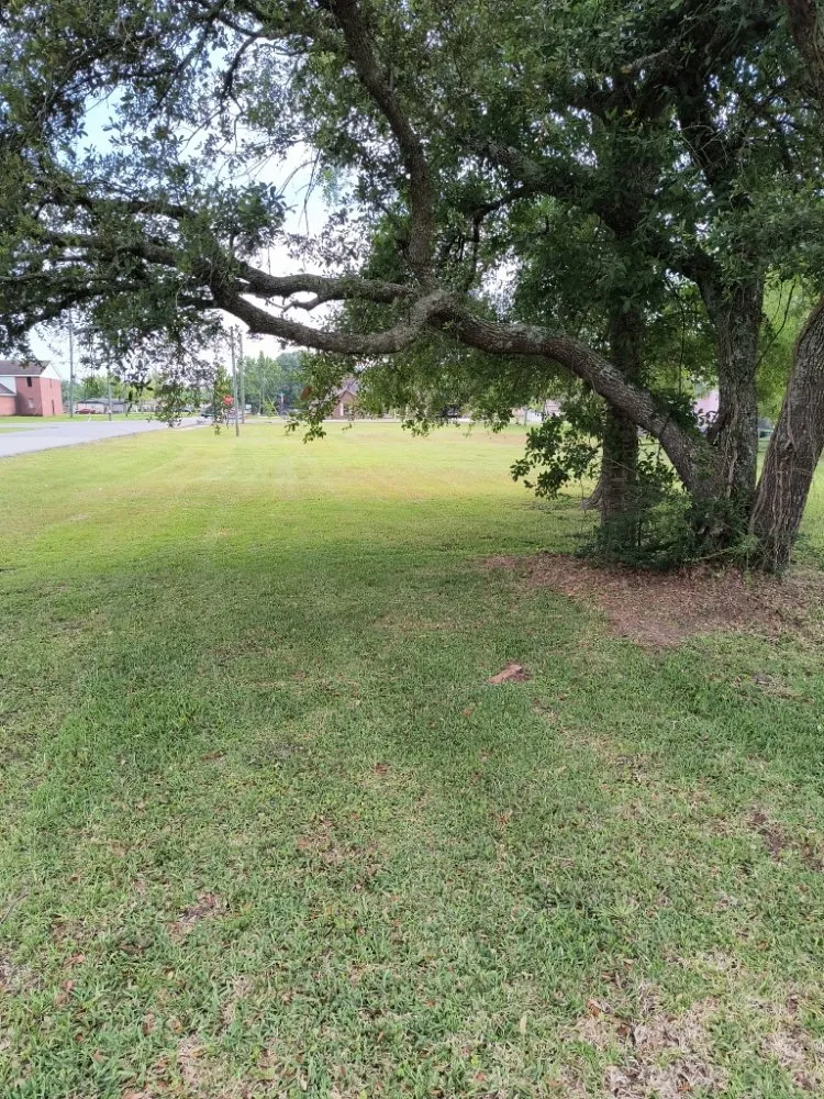 Professional outdoor landscaping near you in Gulfport, MS by Lawns by Terence