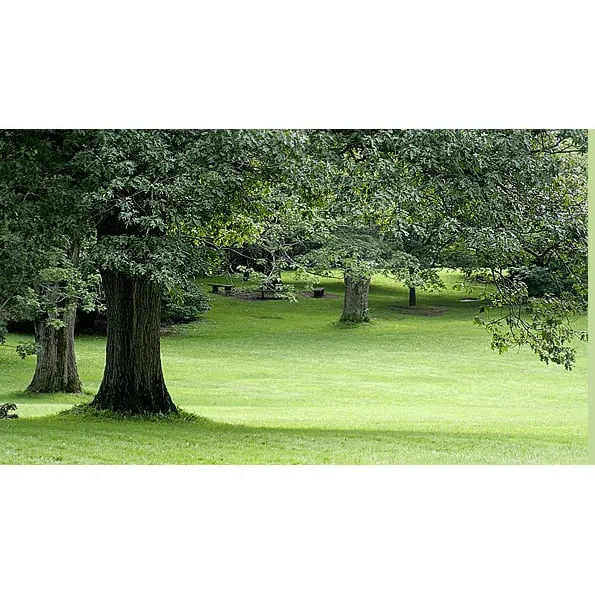 Professional outdoor landscaping experts serving Cresskill, NJ - Lawns By The Best