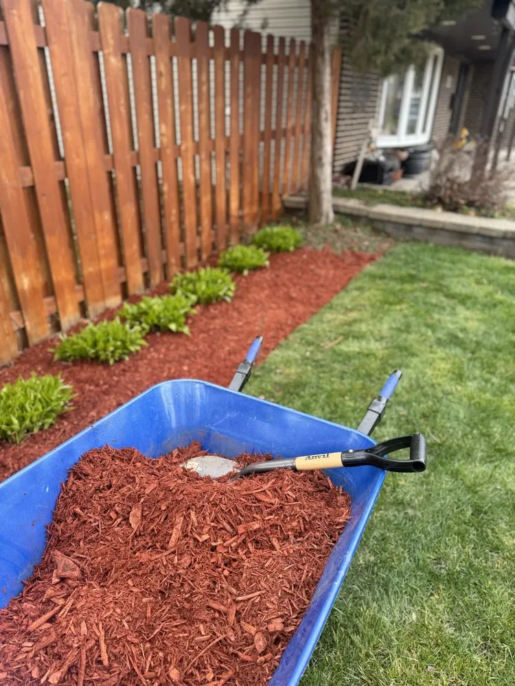 Trusted yard cleanup service for homes across Schaumburg, IL - Lawns By Us