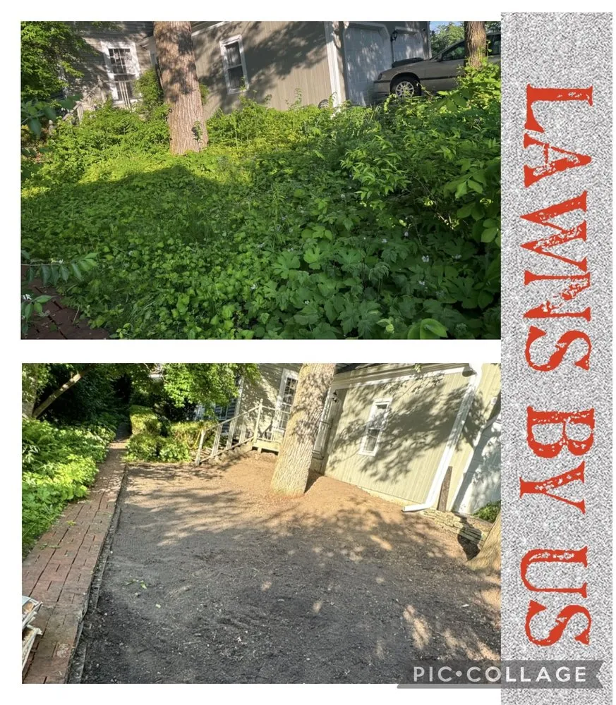 Custom lawn care service in Schaumburg, IL - Lawns By Us