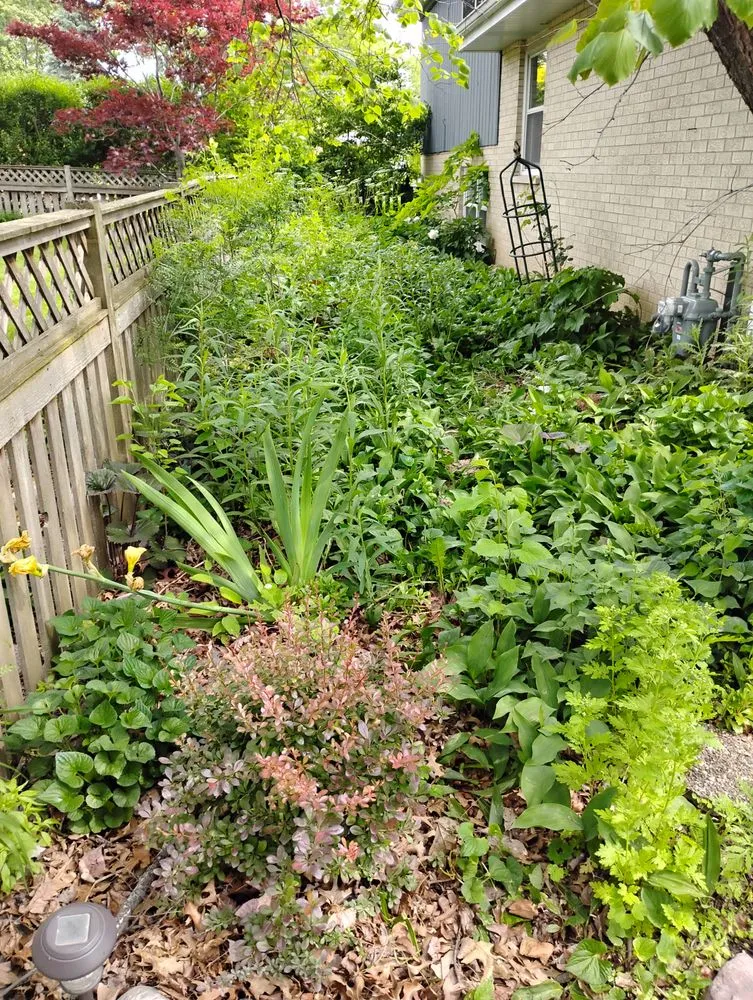 Custom landscaping services in Schaumburg, IL - Lawns By Us