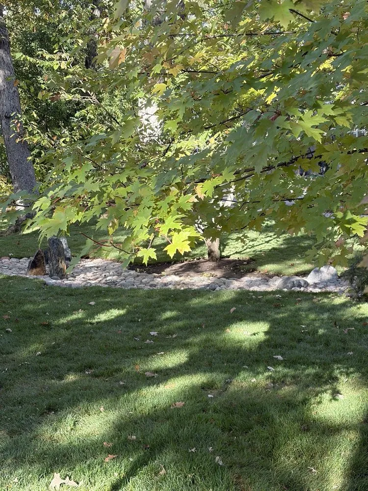 Local landscaping services for outdoor upgrades across Schaumburg, IL - Lawns By Us