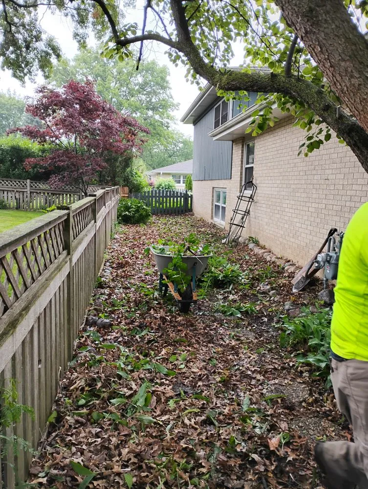 Reliable landscaping services in Schaumburg, IL - Lawns By Us