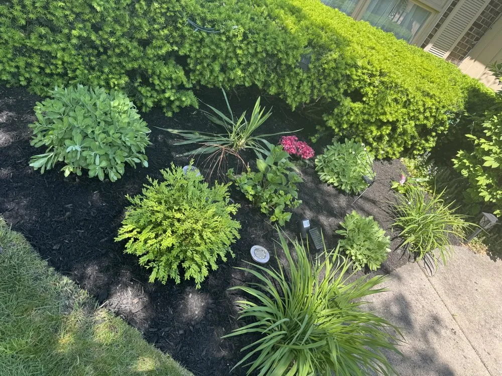 Affordable residential landscaping experts serving Schaumburg, IL - Lawns By Us