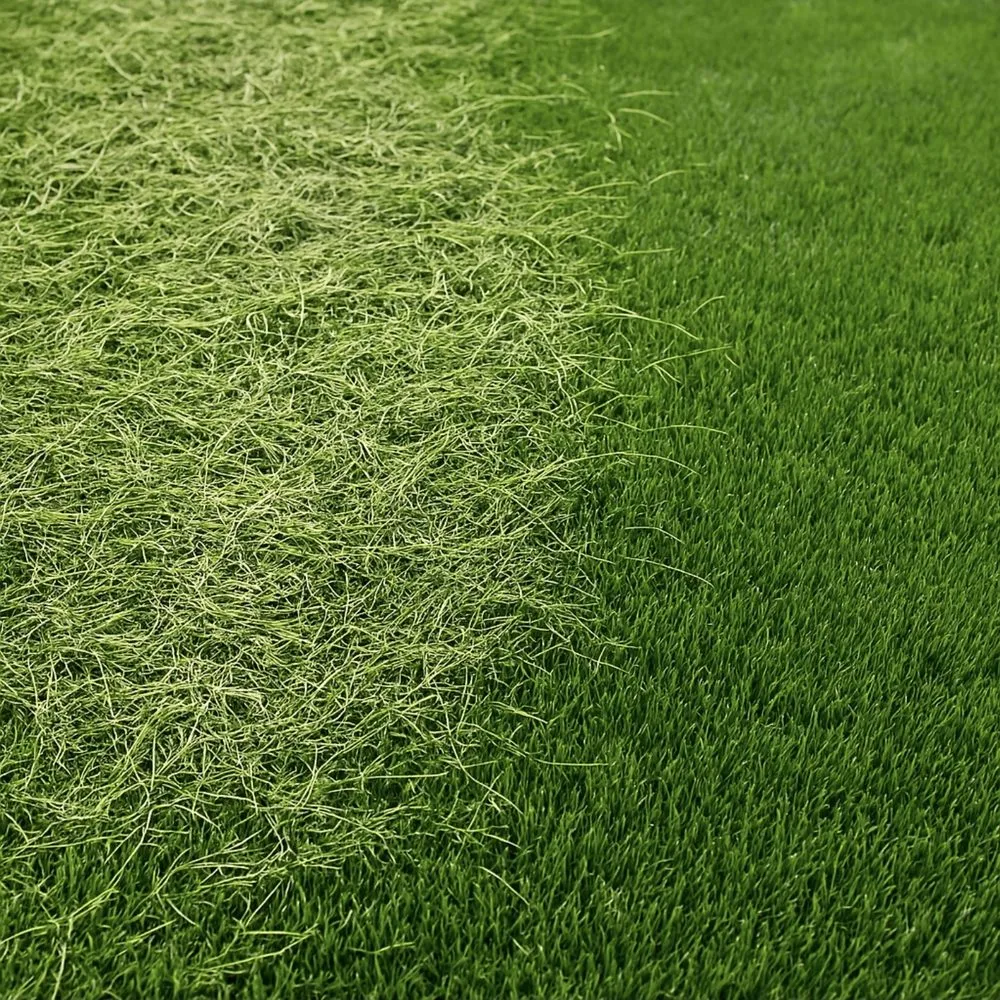 Trusted lawn care service in Schaumburg, IL by Lawns By Us