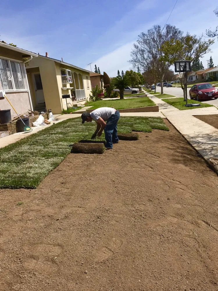 Reliable landscaping services for year-round maintenance in Whittier, CA by Lawns By Willis