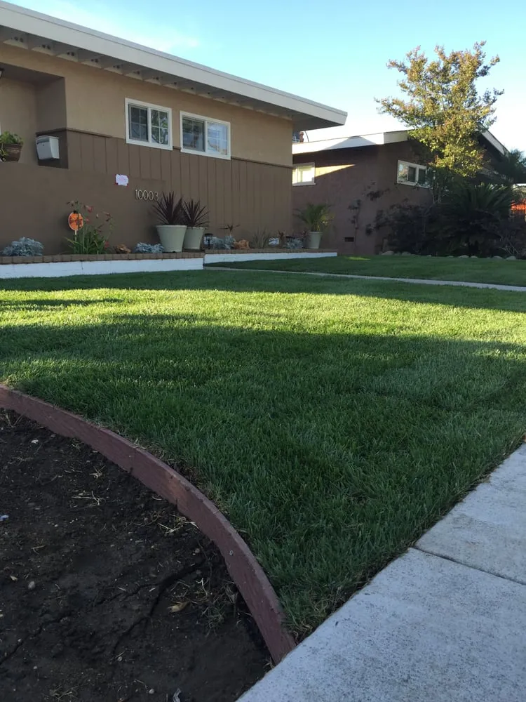 Affordable lawn care service in Whittier, CA - Lawns By Willis