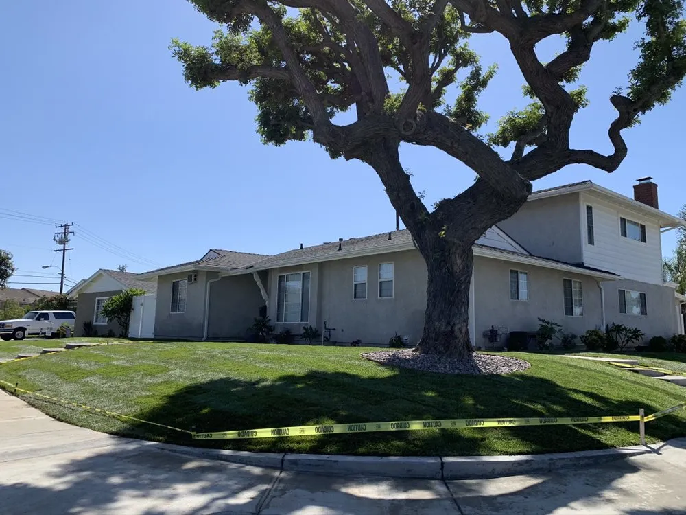 Affordable yard cleanup service for outdoor upgrades in Whittier, CA by Lawns By Willis