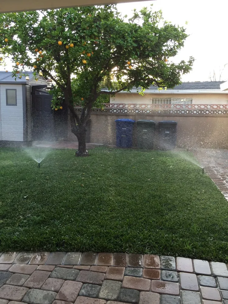 Professional yard cleanup service for year-round maintenance across Whittier, CA - Lawns By Willis