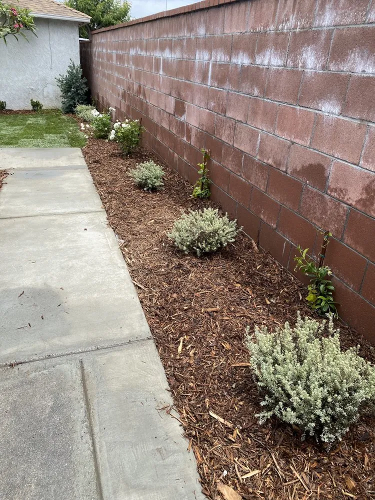 Professional garden landscaping experts serving Whittier, CA - Lawns By Willis
