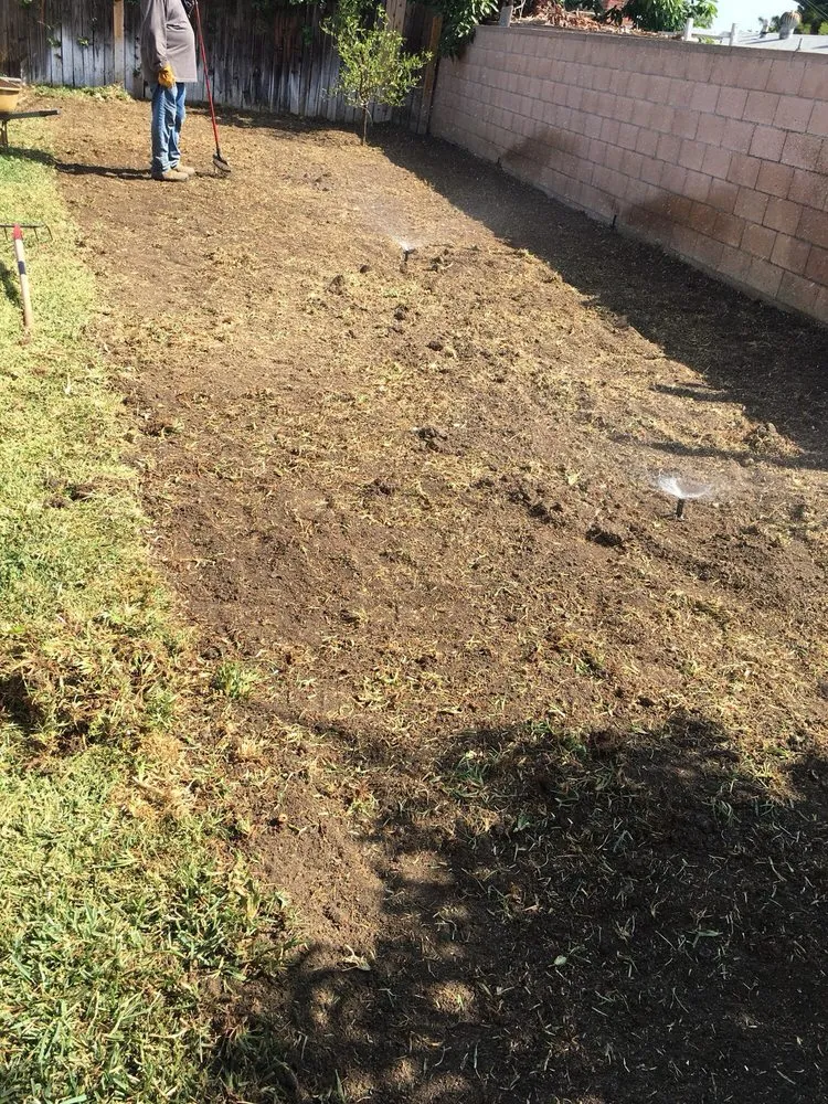 Top-rated landscaping services for residential properties across Whittier, CA - Lawns By Willis