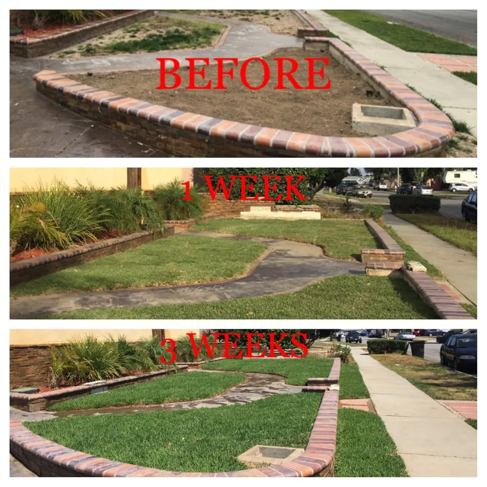 Top-rated landscape design for residential properties in Whittier, CA by Lawns By Willis