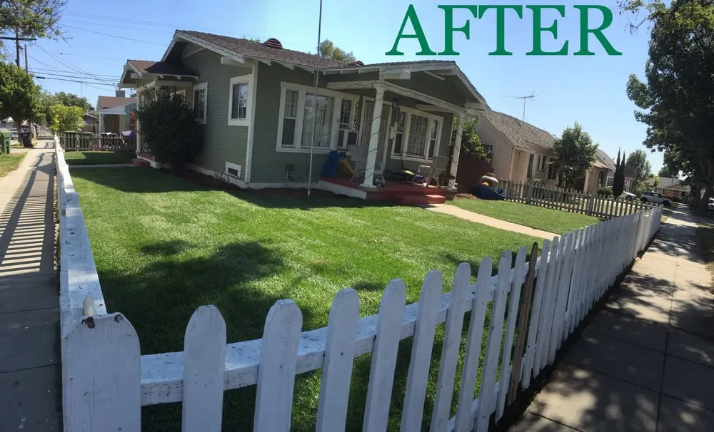 Trusted garden landscaping in Whittier, CA - Lawns By Willis