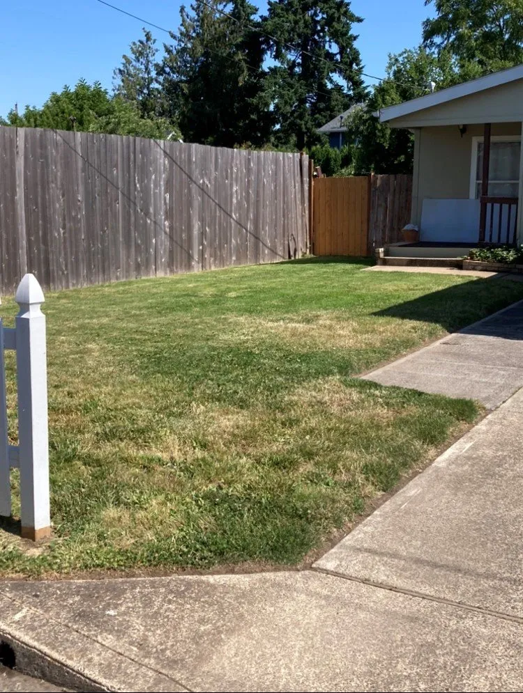 Professional lawn mowing service for residential properties in Molalla, OR by Lawns Cut & Trimmed