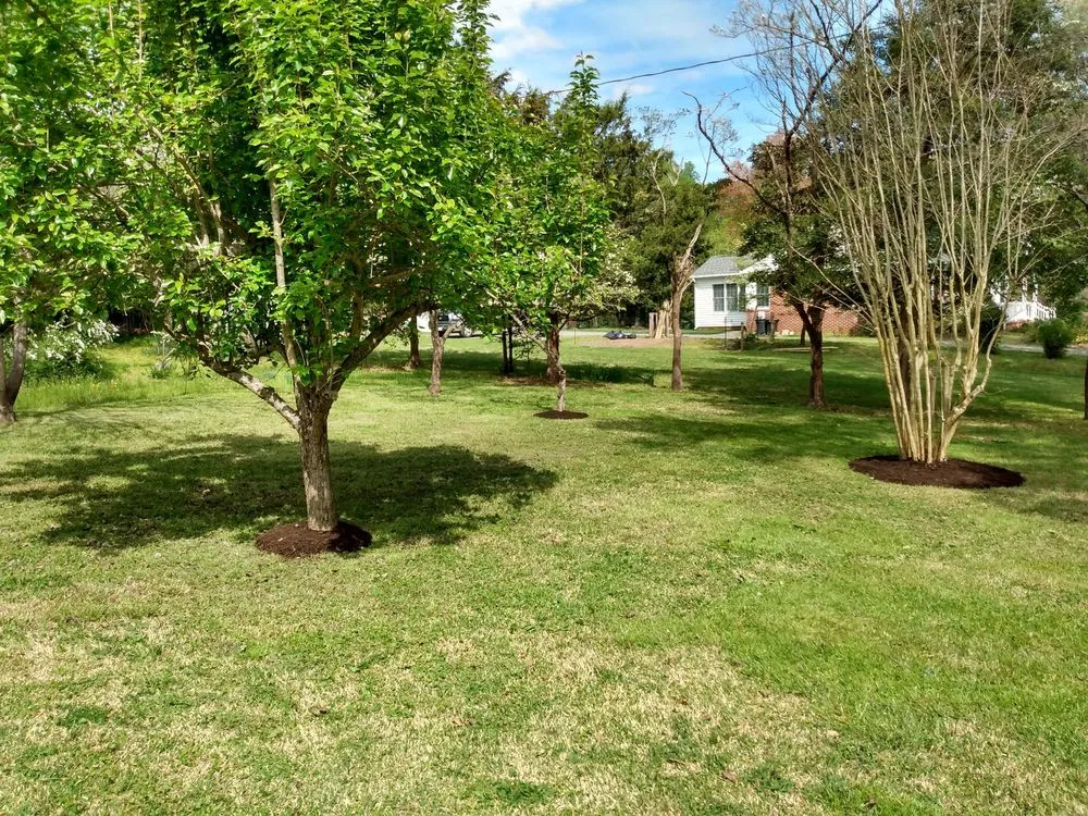 Trusted yard maintenance in Gloucester, VA - Lawns Done Right