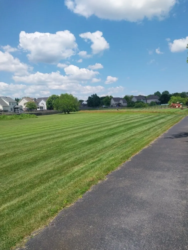 Affordable landscape installation in Knoxville, TN - Lawns Done Right