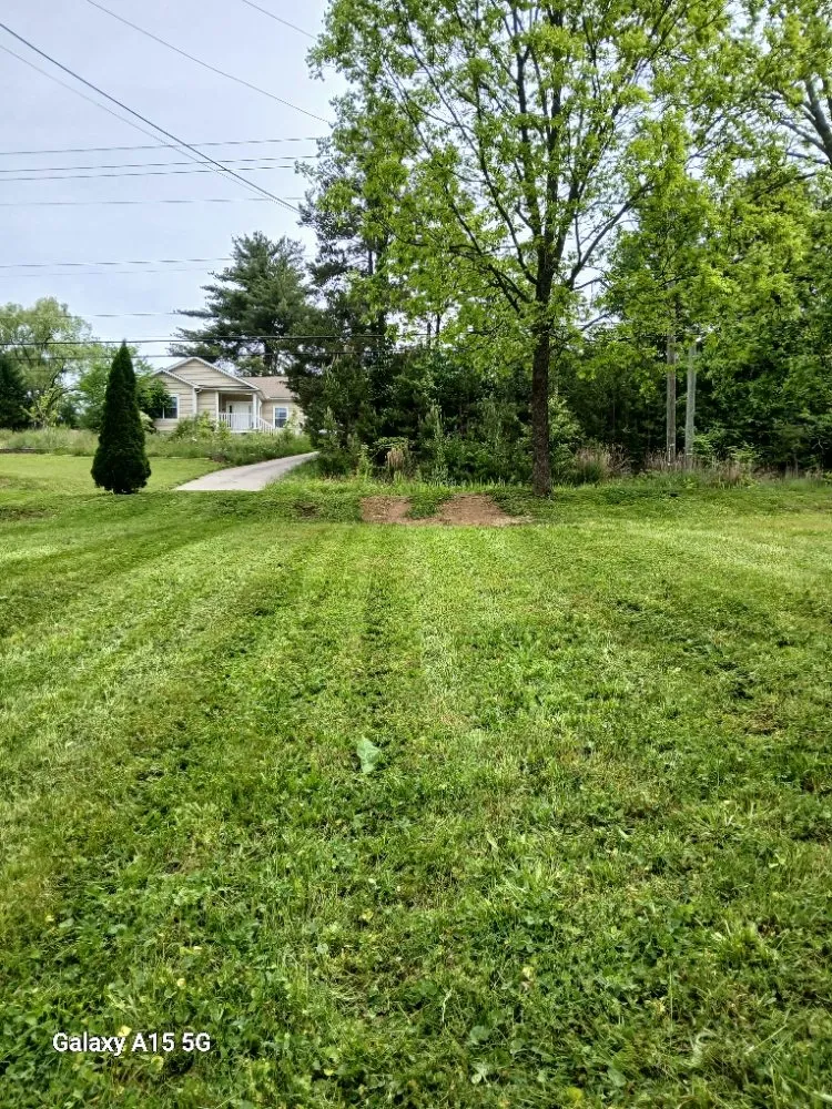 Expert landscape installation for beautiful yards in Knoxville, TN by Lawns Done Right