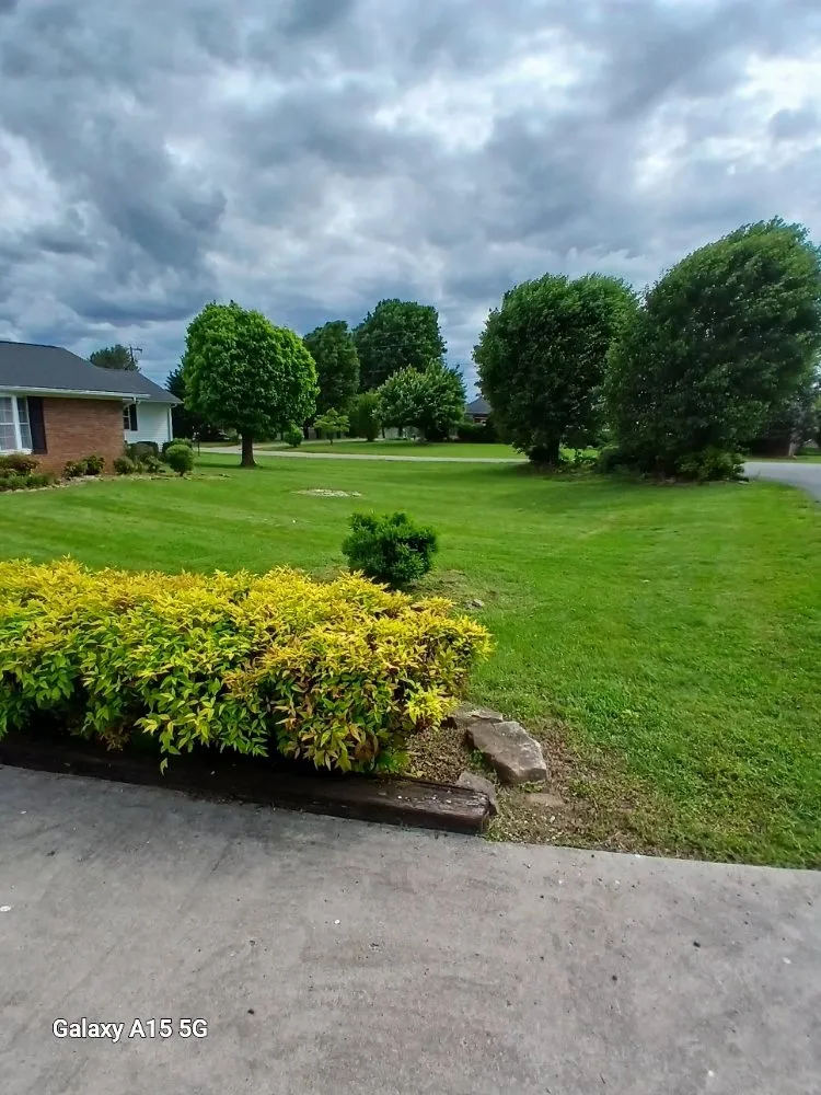 Custom lawn mowing service with custom design in Knoxville, TN by Lawns Done Right