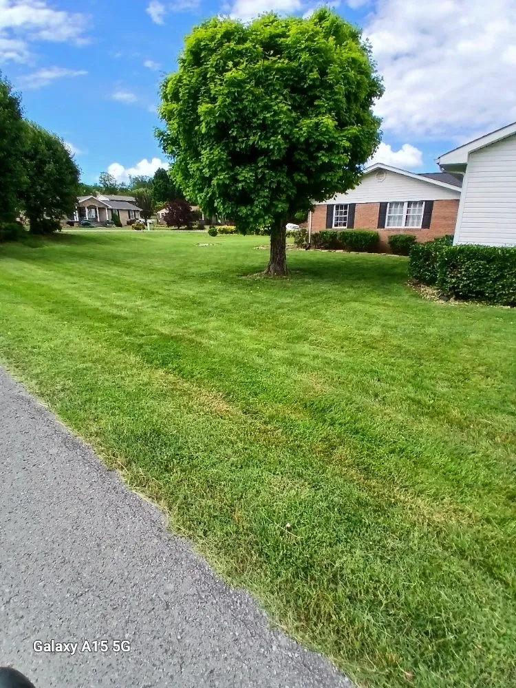 Expert outdoor landscaping experts serving Knoxville, TN - Lawns Done Right