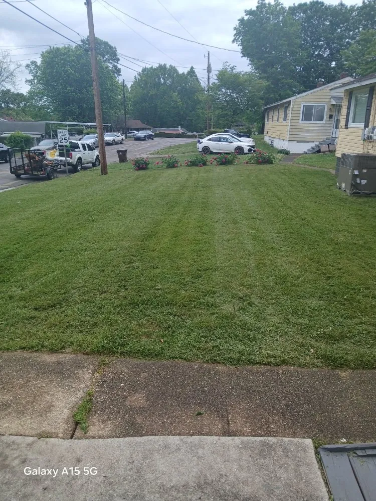 Trusted landscape installation in Knoxville, TN by Lawns Done Right