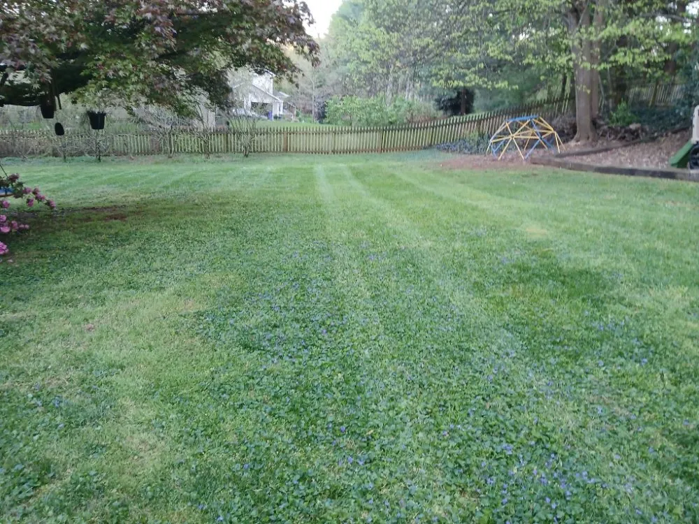 Top-rated yard maintenance with custom design across Knoxville, TN - Lawns Done Right