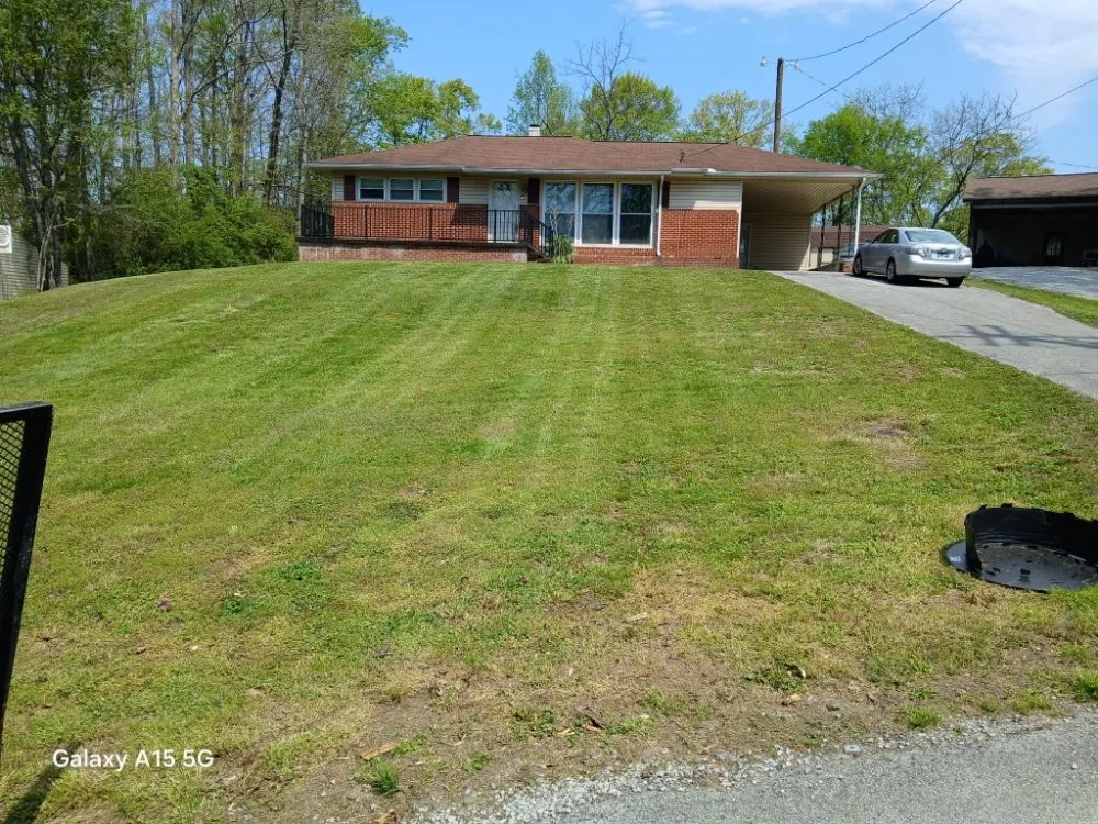 Professional yard maintenance experts serving Knoxville, TN - Lawns Done Right