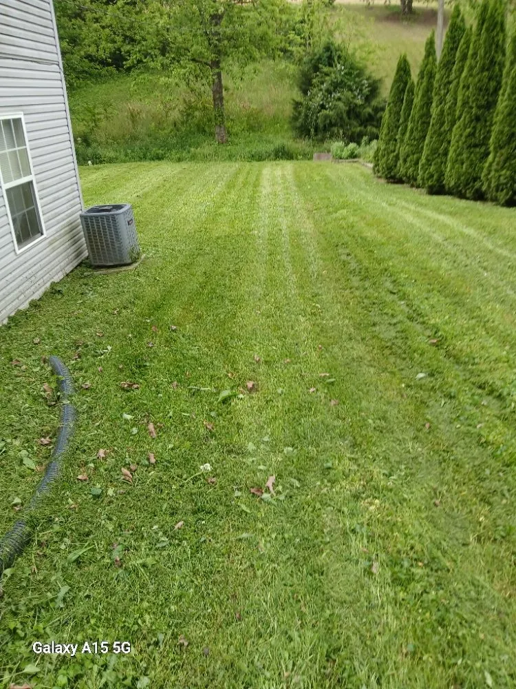 Trusted lawn mowing service experts serving Knoxville, TN - Lawns Done Right