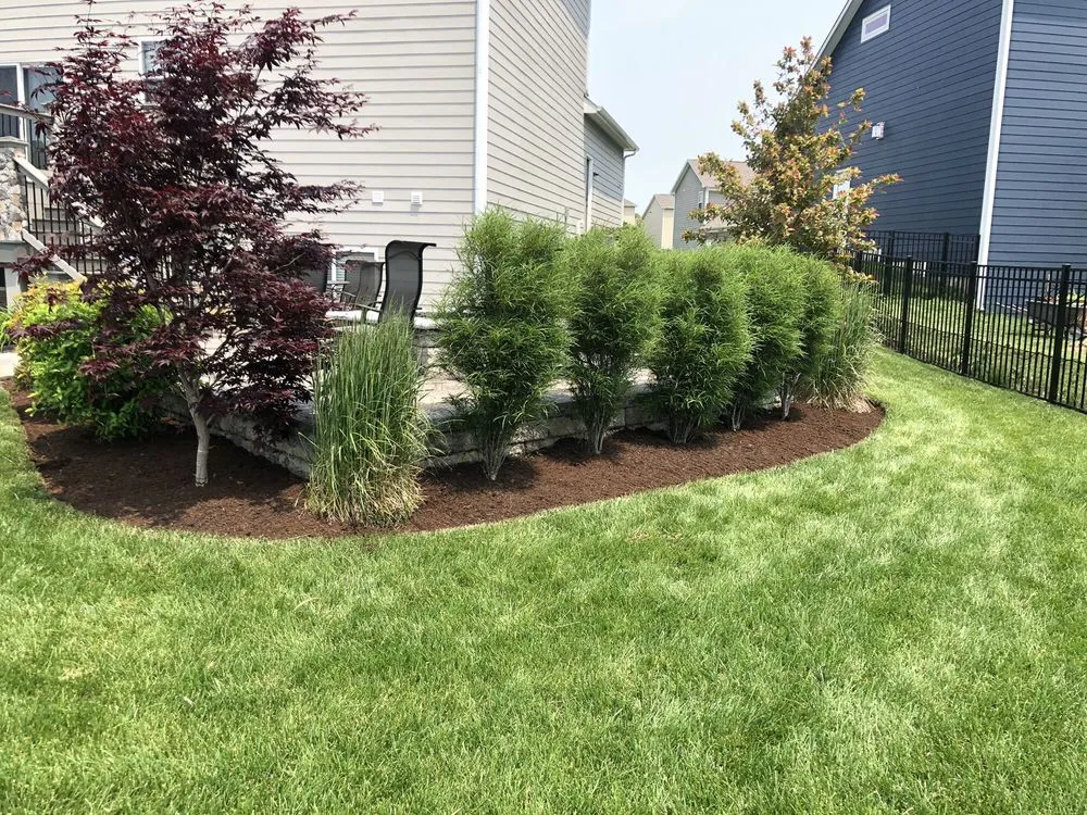 Professional yard cleanup service for year-round maintenance across Noblesville, IN - Lawns For Days