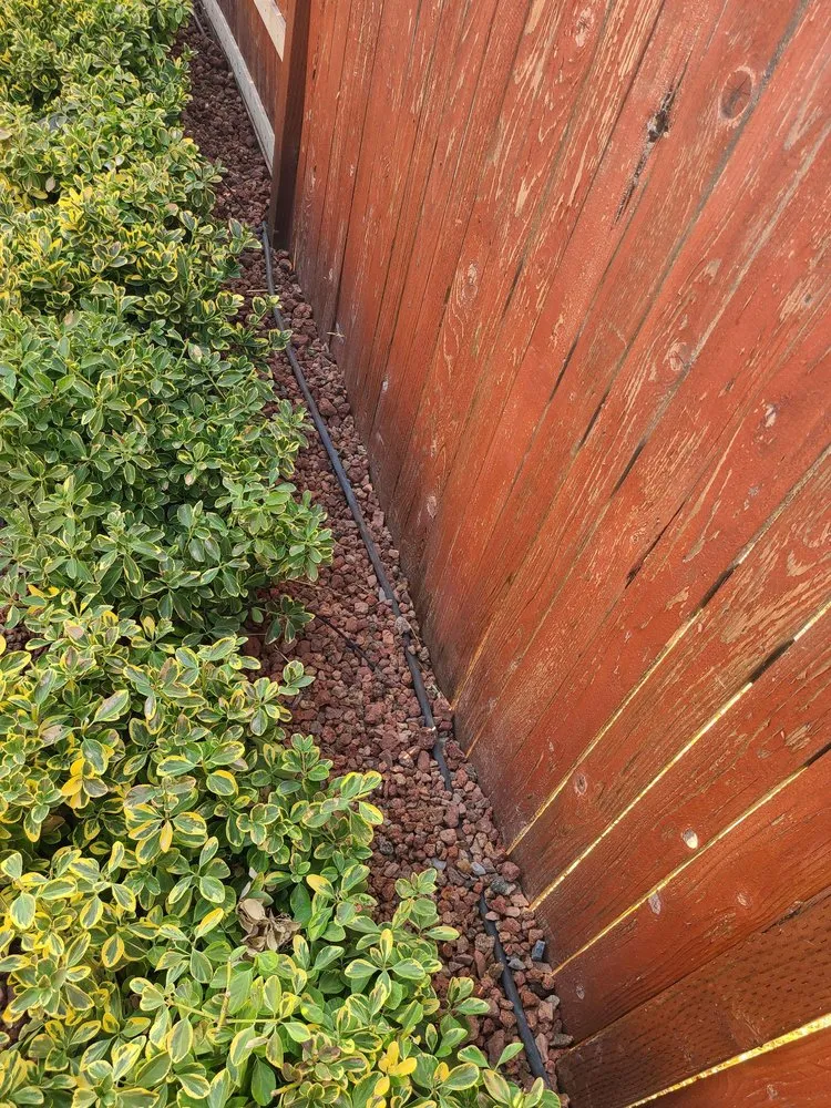 Trusted residential landscaping in Fairfield, CA - Lawns Hedges Weeds