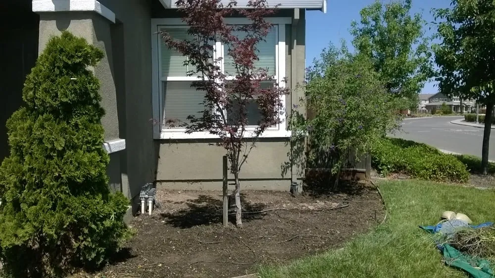 Top-rated residential landscaping in Fairfield, CA - Lawns Hedges Weeds