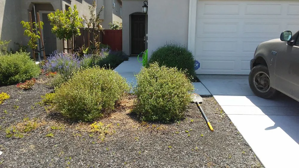 Expert residential landscaping in Fairfield, CA by Lawns Hedges Weeds