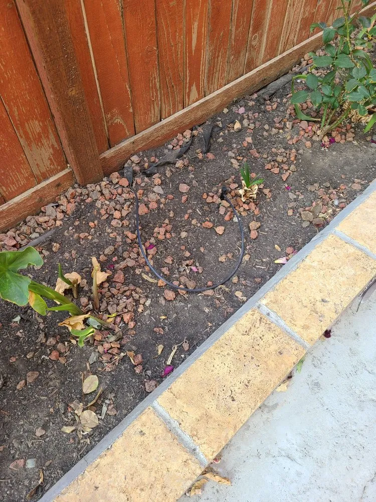 Affordable yard cleanup service in Fairfield, CA - Lawns Hedges Weeds