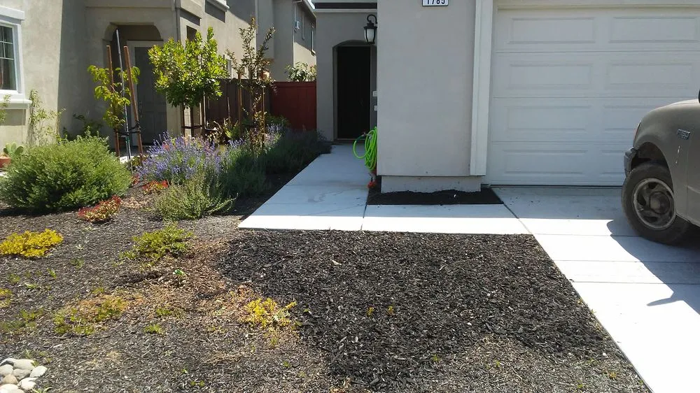 Affordable landscaping services experts serving Fairfield, CA - Lawns Hedges Weeds