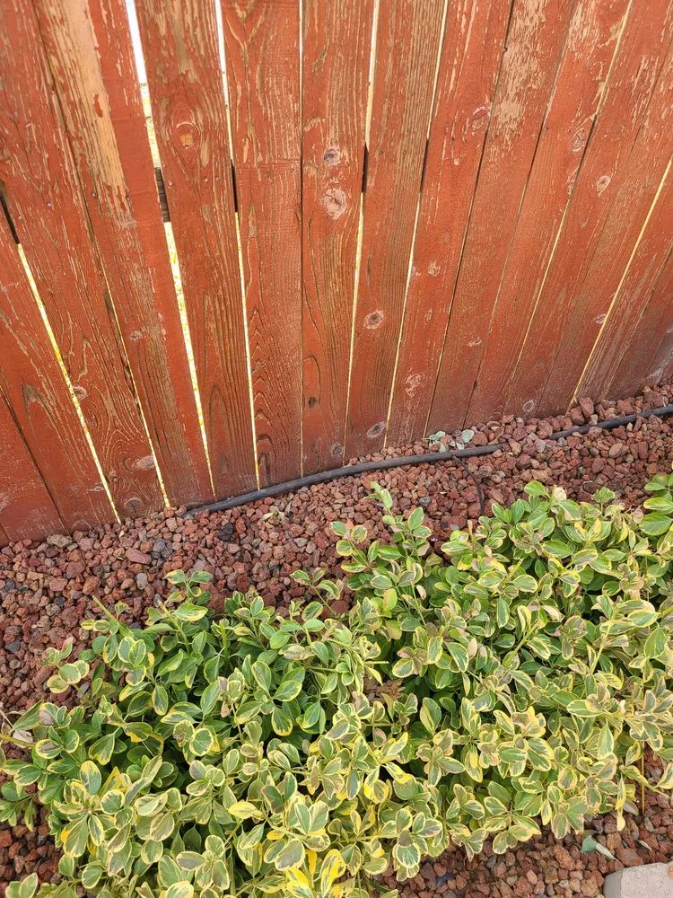 Local garden landscaping in Fairfield, CA by Lawns Hedges Weeds