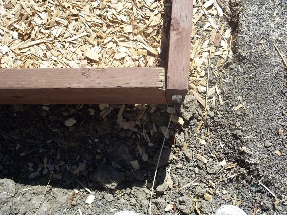 Professional residential landscaping experts serving Fairfield, CA - Lawns Hedges Weeds