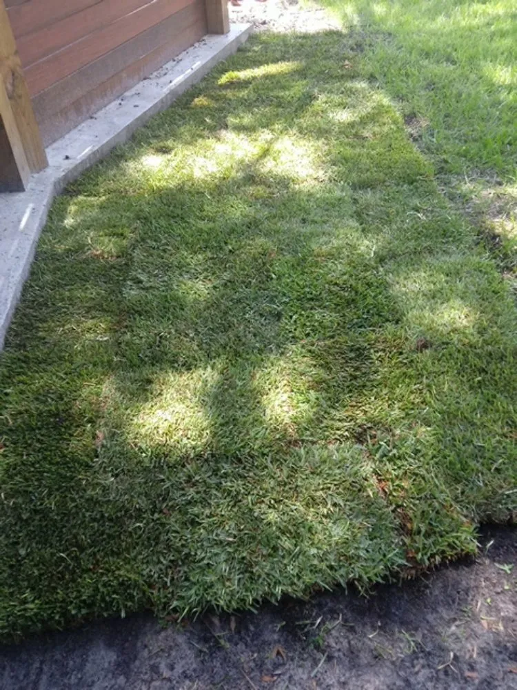 Top-rated yard cleanup service for year-round maintenance across Tampa, FL - Lawns Made Level