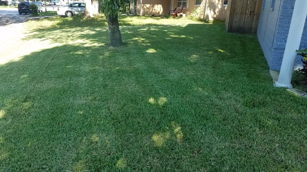 Local yard cleanup service for homes across Tampa, FL - Lawns Made Level