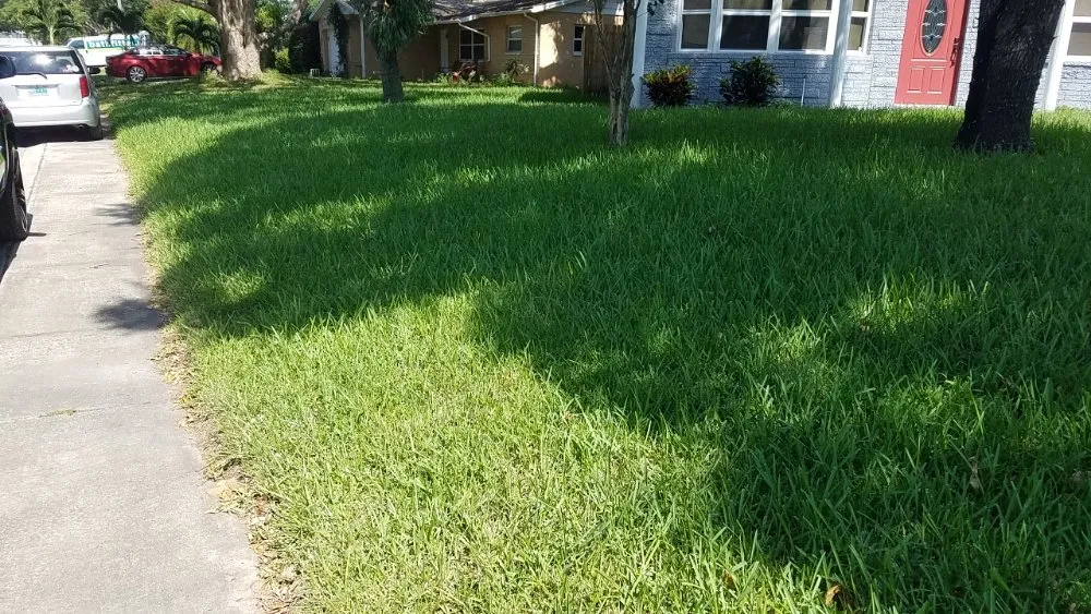 Professional garden landscaping in Tampa, FL - Lawns Made Level