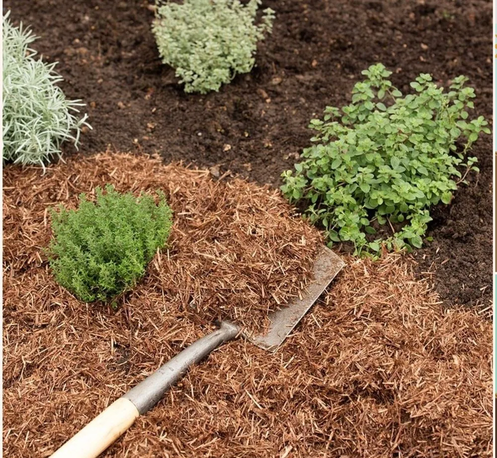 Reliable yard cleanup service in Tampa, FL by Lawns Made Level