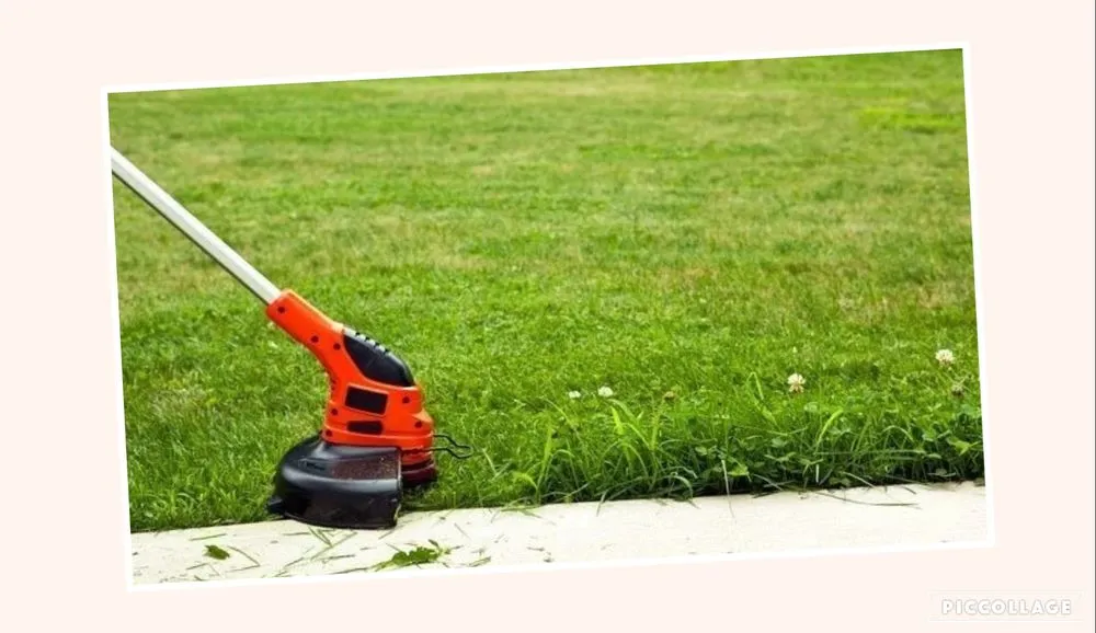 Custom landscaping services in Tampa, FL by Lawns Made Level