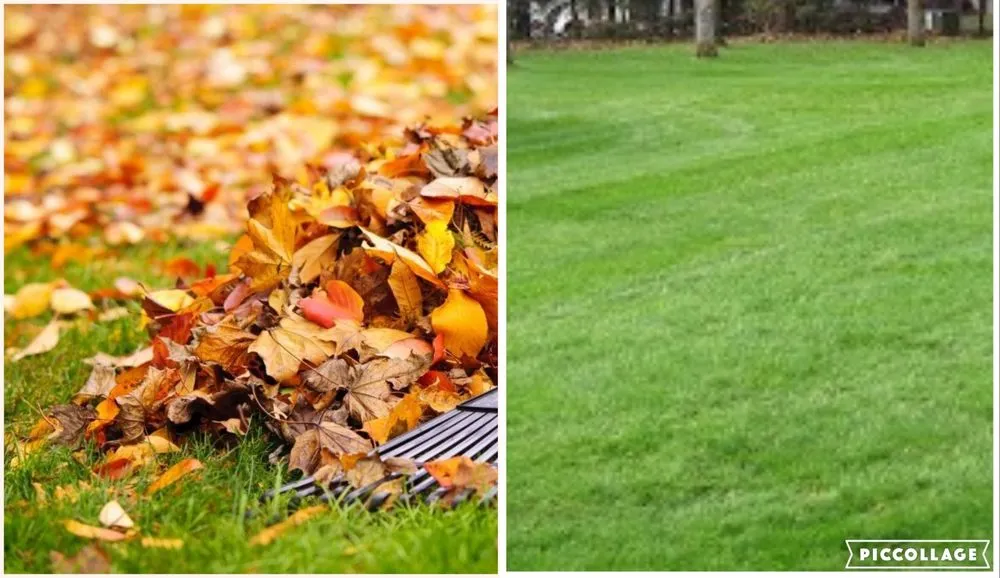 Custom outdoor landscaping for beautiful yards across Tampa, FL - Lawns Made Level