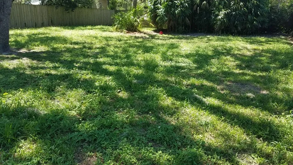 Custom residential landscaping for year-round maintenance across Tampa, FL - Lawns Made Level