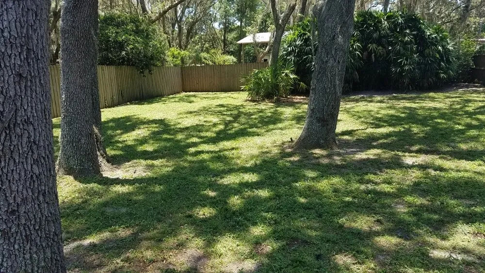 Custom yard maintenance near you across Tampa, FL - Lawns Made Level