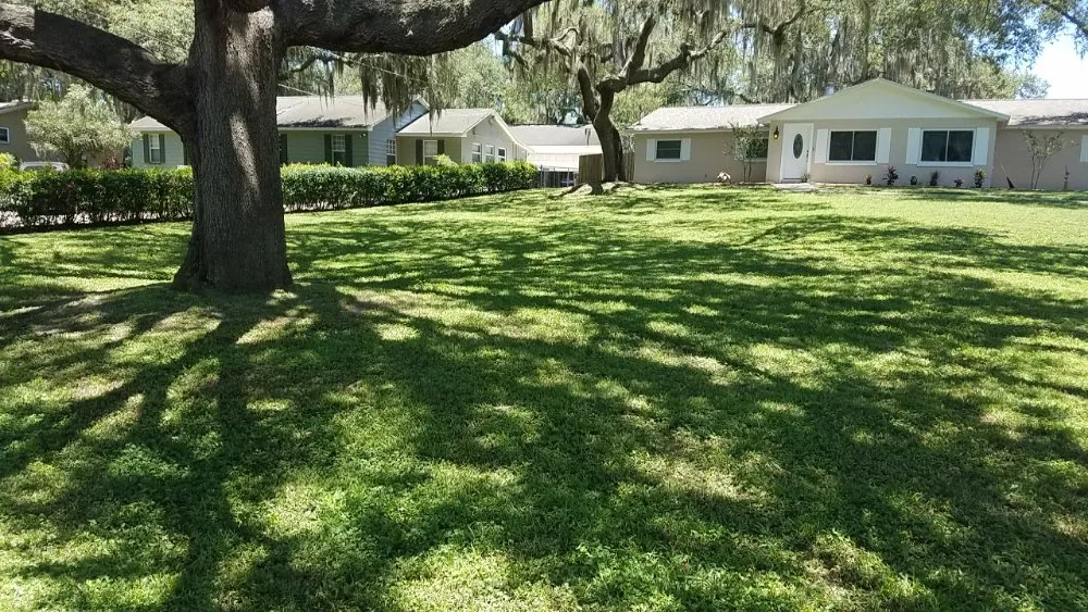 Expert landscaping services in Tampa, FL by Lawns Made Level