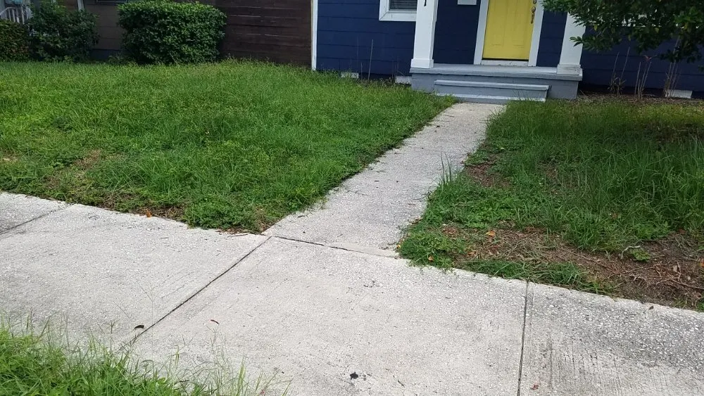 Trusted landscaping services for homes in Tampa, FL by Lawns Made Level