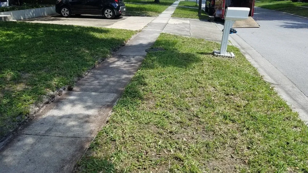 Local yard cleanup service experts serving Tampa, FL - Lawns Made Level