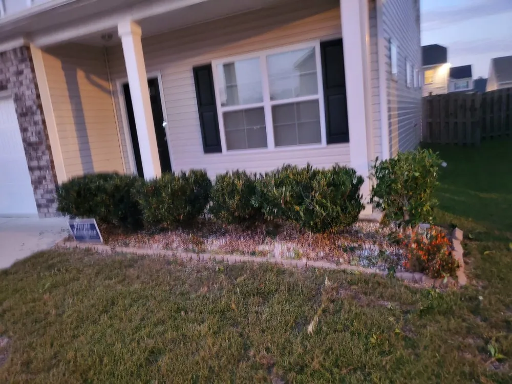 Professional outdoor landscaping in Columbia, SC by Lawns Mowed By Michael