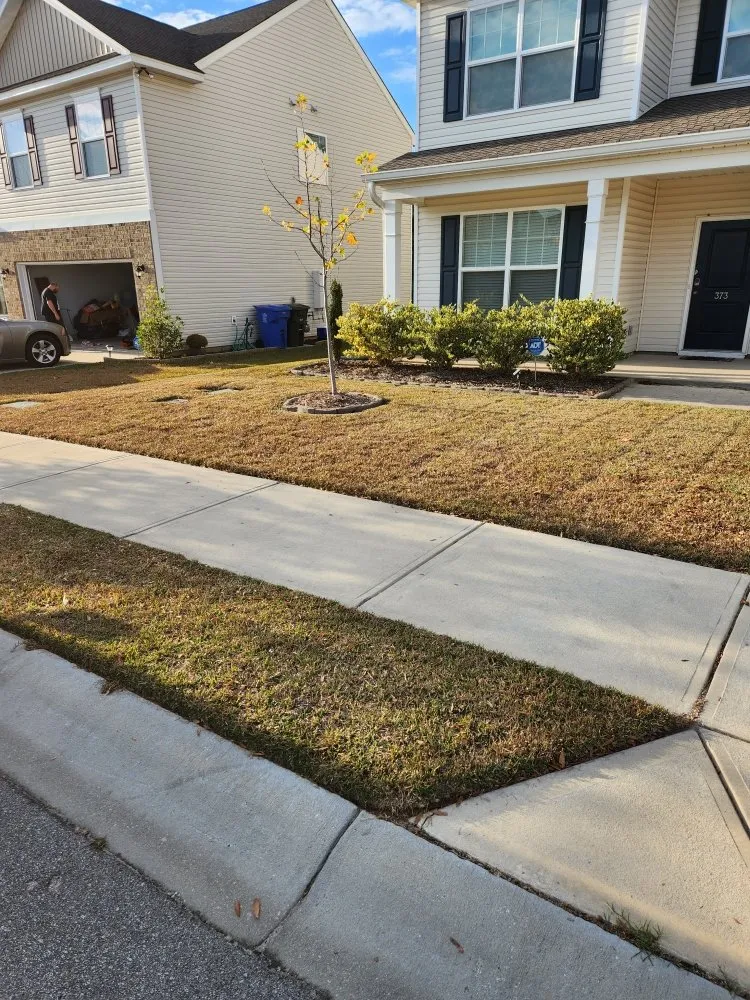 Top-rated yard cleanup service in Columbia, SC - Lawns Mowed By Michael
