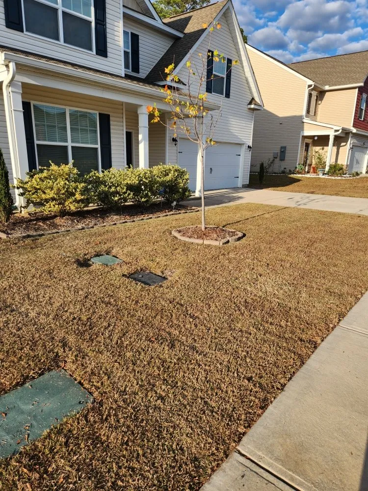Professional residential landscaping in Columbia, SC - Lawns Mowed By Michael